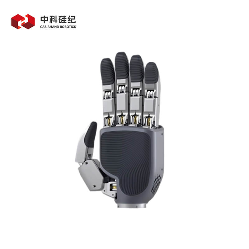 CASIA HAND M product image 4