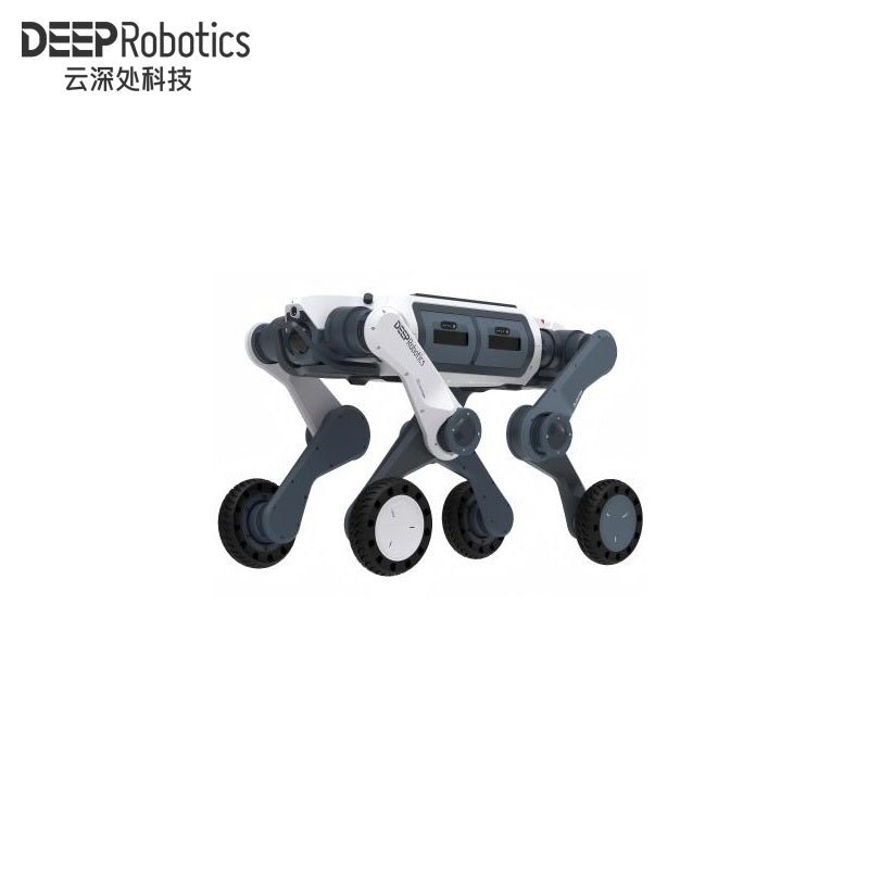 DEEP Robotics LYNX M20 Robot | Quadruped Robot Platform for Field Robotics and Embodied AI Development product image 1