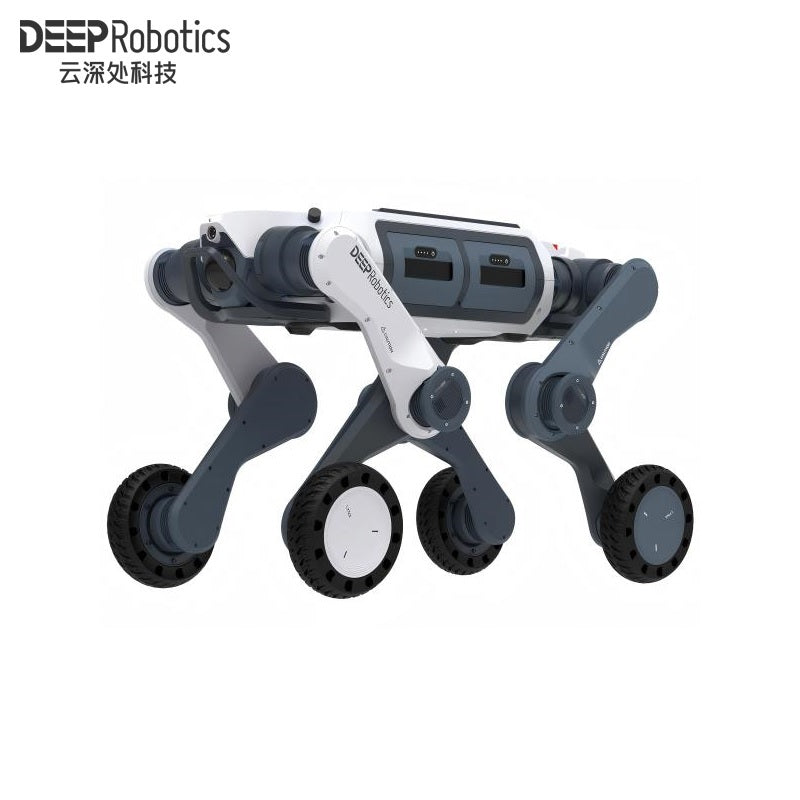 DEEP Robotics LYNX M20 Robot | Quadruped Robot Platform for Field Robotics and Embodied AI Development product image 2
