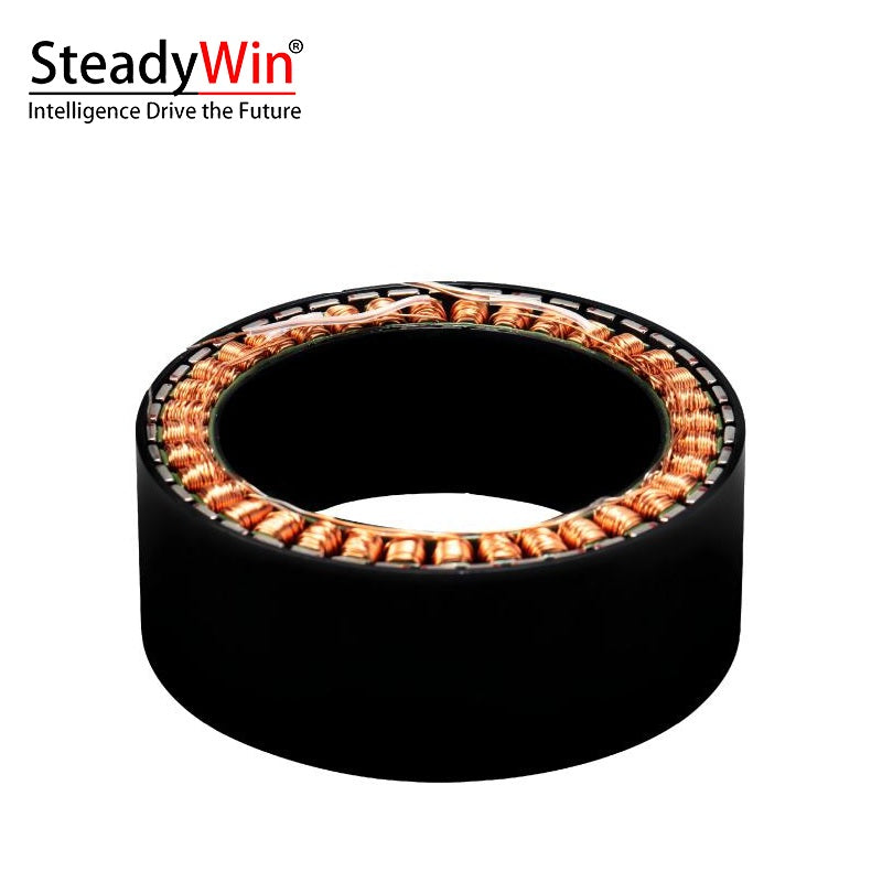 SteadyWin WK10025 Motor product image 1