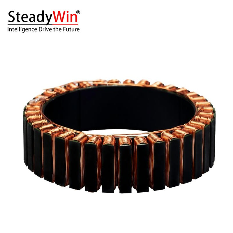 SteadyWin WK10025 Motor product image 2