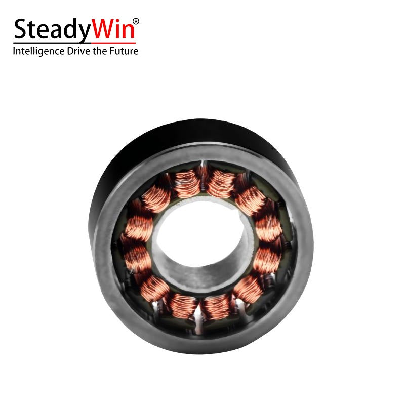 SteadyWin WK1806 Motor product image 5