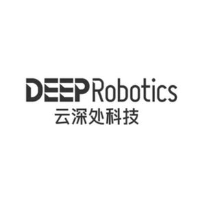 Deep Robotics Motor
