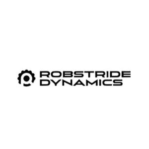 ROBSTRIDE Motor