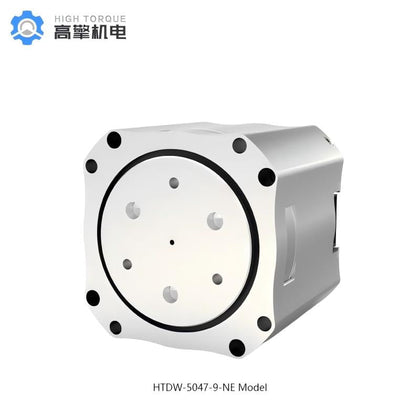 HIGH TORQUE HTDW-4438-30-NE Motor