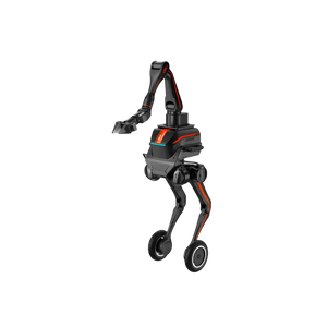 Robotic Arm