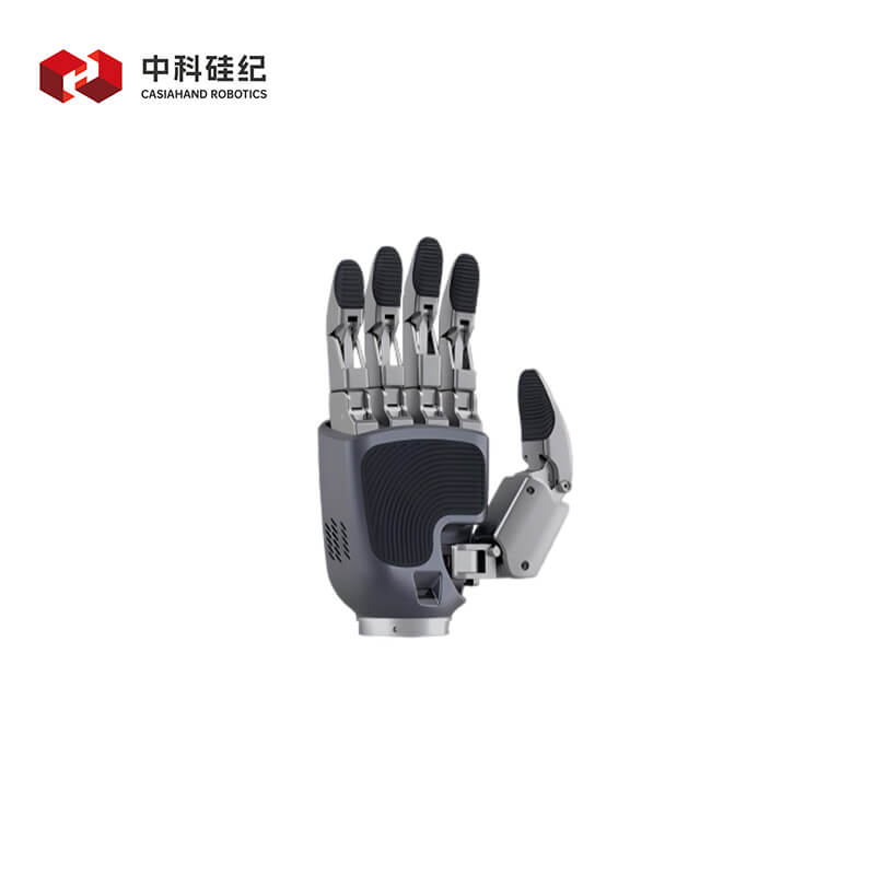 CASIA HAND M product image 1