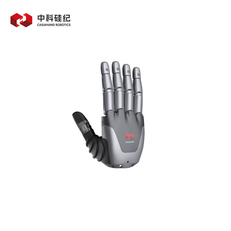 CASIA HAND X product image 1