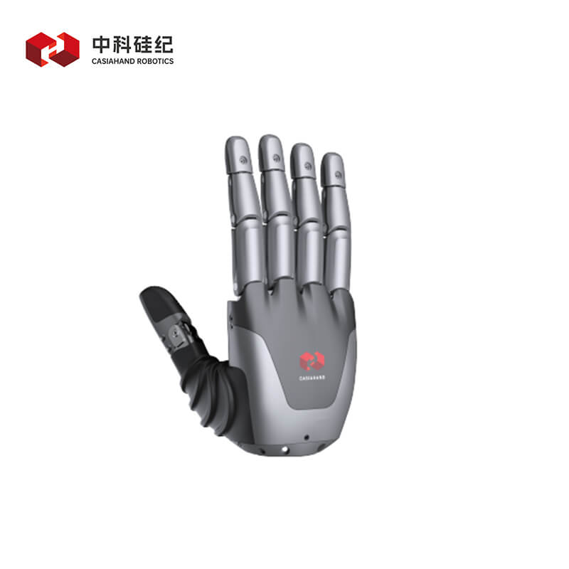 CASIA HAND X product image 2