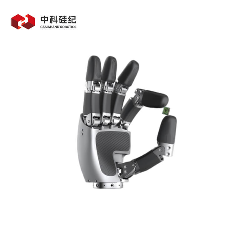 CASIA HAND X product image 3