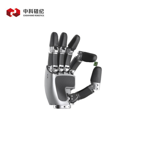 CASIA HAND X product image 3