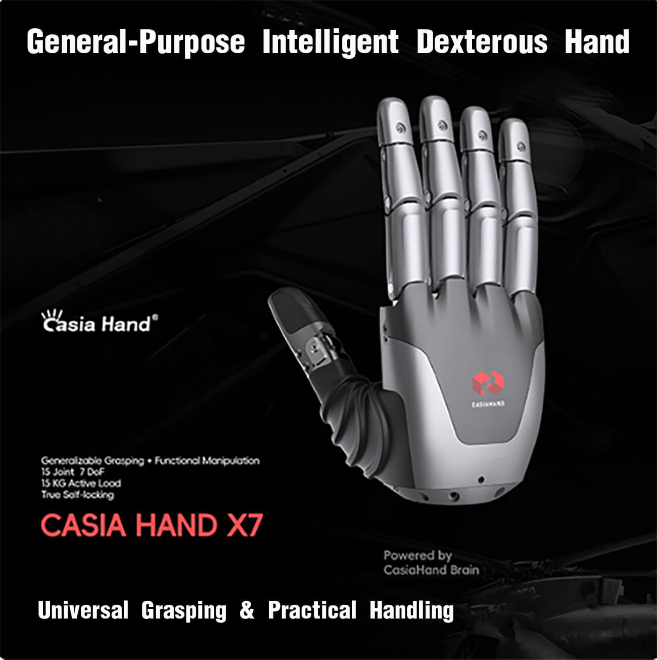 CASIA HAND X detail image 1