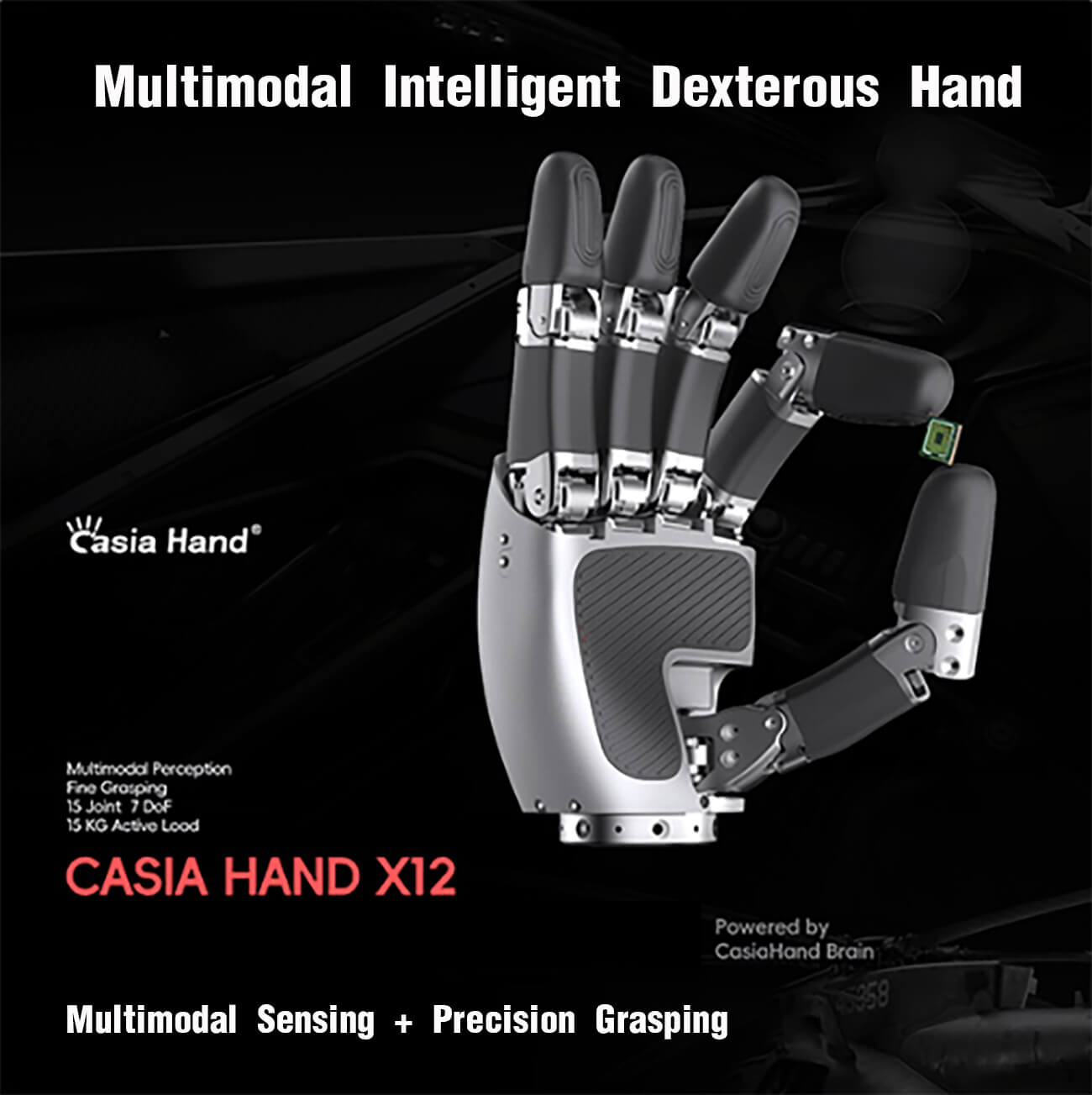 CASIA HAND X detail image 2