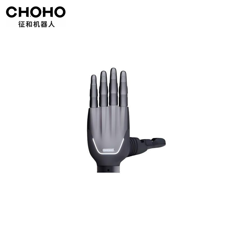 CHOHO Hand product image 1