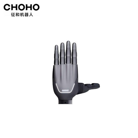 CHOHO Hand product image 1