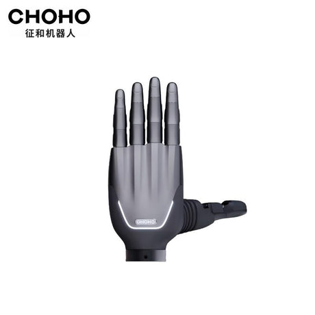 CHOHO Hand product image 2