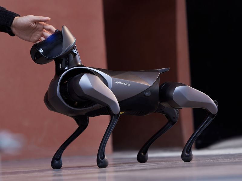 Cyberdog 2