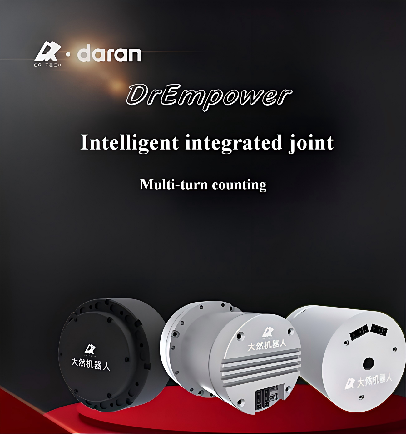 Daran PDA-09 Motor detail image 2