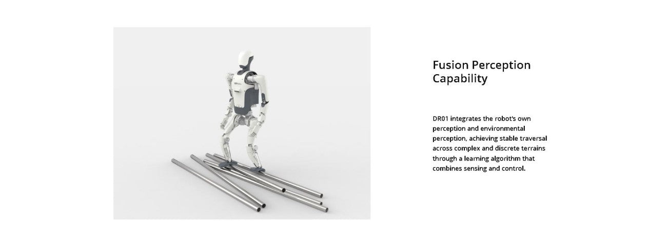 DEEP Robotics DR01 Robot | Humanoid Robot Platform for Robotics Research detail image 4
