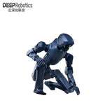 DEEP Robotics DR02 Robot | Humanoid Robot Platform for Robotics Research product image 3