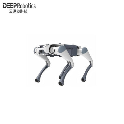 DEEP Robotics LYNX M20 Robot