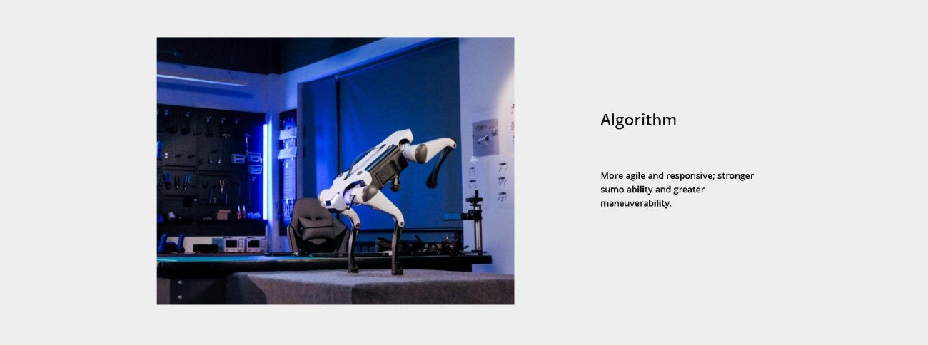 DEEP Robotics Lite3 Robot | Quadruped Robot Platform for Education Labs and Robotics Research detail image 3