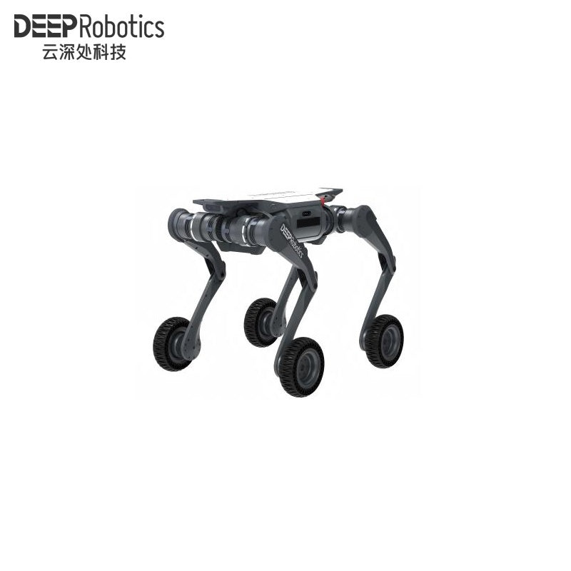 DEEP Robotics LYNX Robot | Quadruped Robot Platform for Field Robotics and Embodied AI Development product image 1
