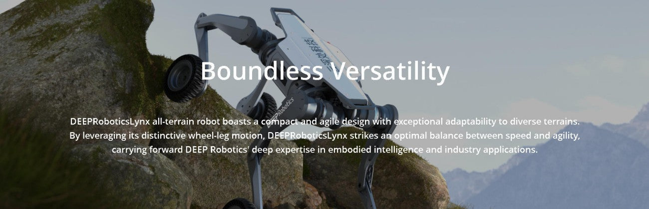 DEEP Robotics LYNX Robot | Quadruped Robot Platform for Field Robotics and Embodied AI Development detail image 1