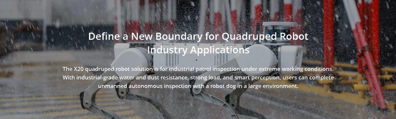 DEEP Robotics X20 Robot | Quadruped Robot Platform for Robotics Research and Field Robot Development detail image 1