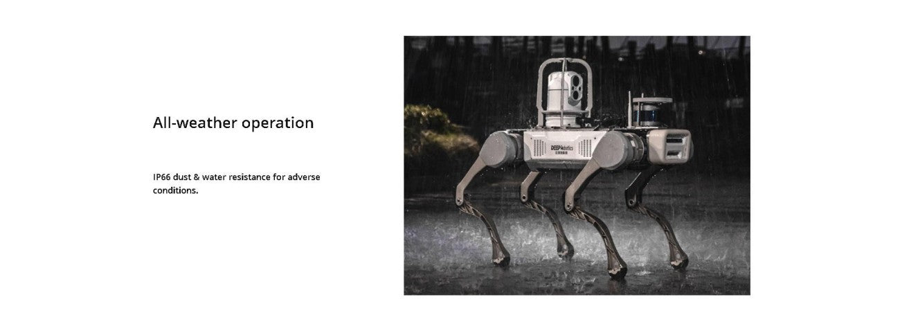 DEEP Robotics X20 Robot | Quadruped Robot Platform for Robotics Research and Field Robot Development detail image 4