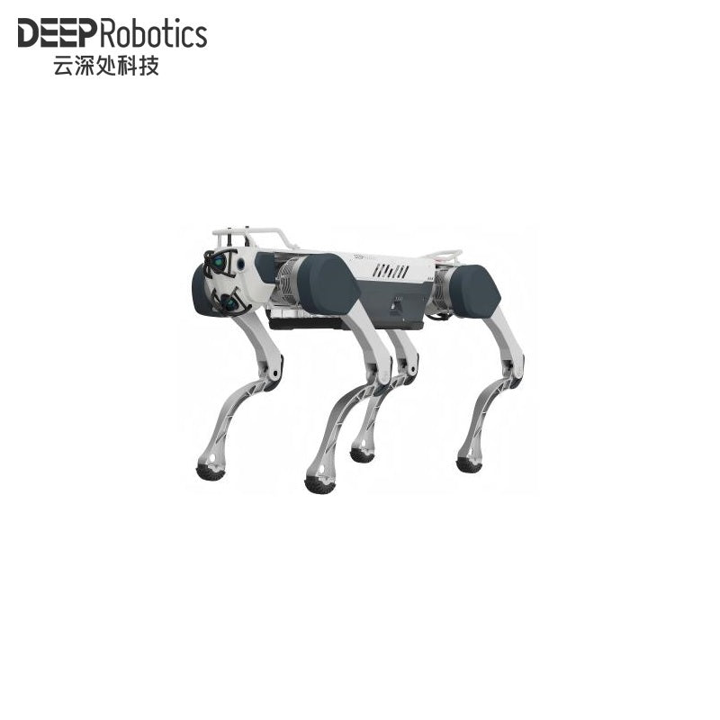 DEEP Robotics X30 Robot | Quadruped Robot Platform for Robotics Research and Field Robot Development product image 1