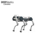 DEEP Robotics X30 Robot | Quadruped Robot Platform for Robotics Research and Field Robot Development product image 1