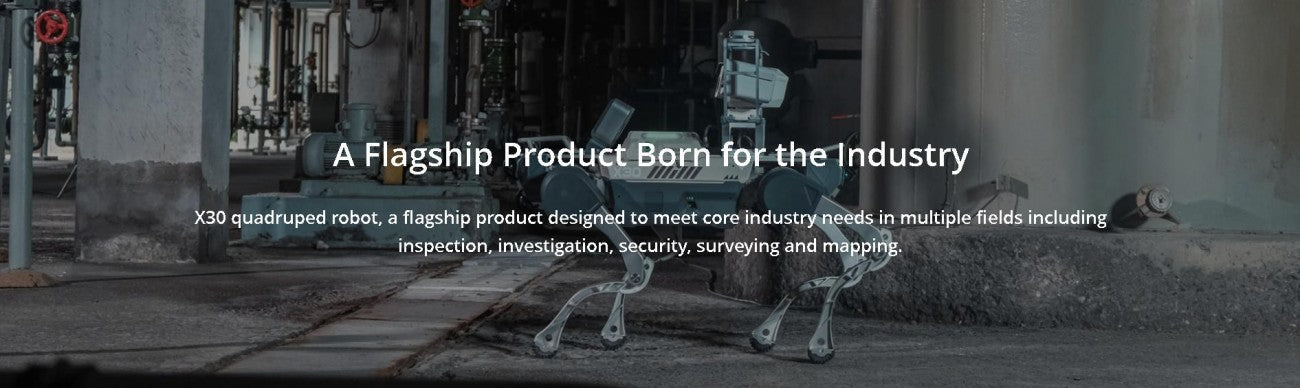 DEEP Robotics X30 Robot | Quadruped Robot Platform for Robotics Research and Field Robot Development detail image 1