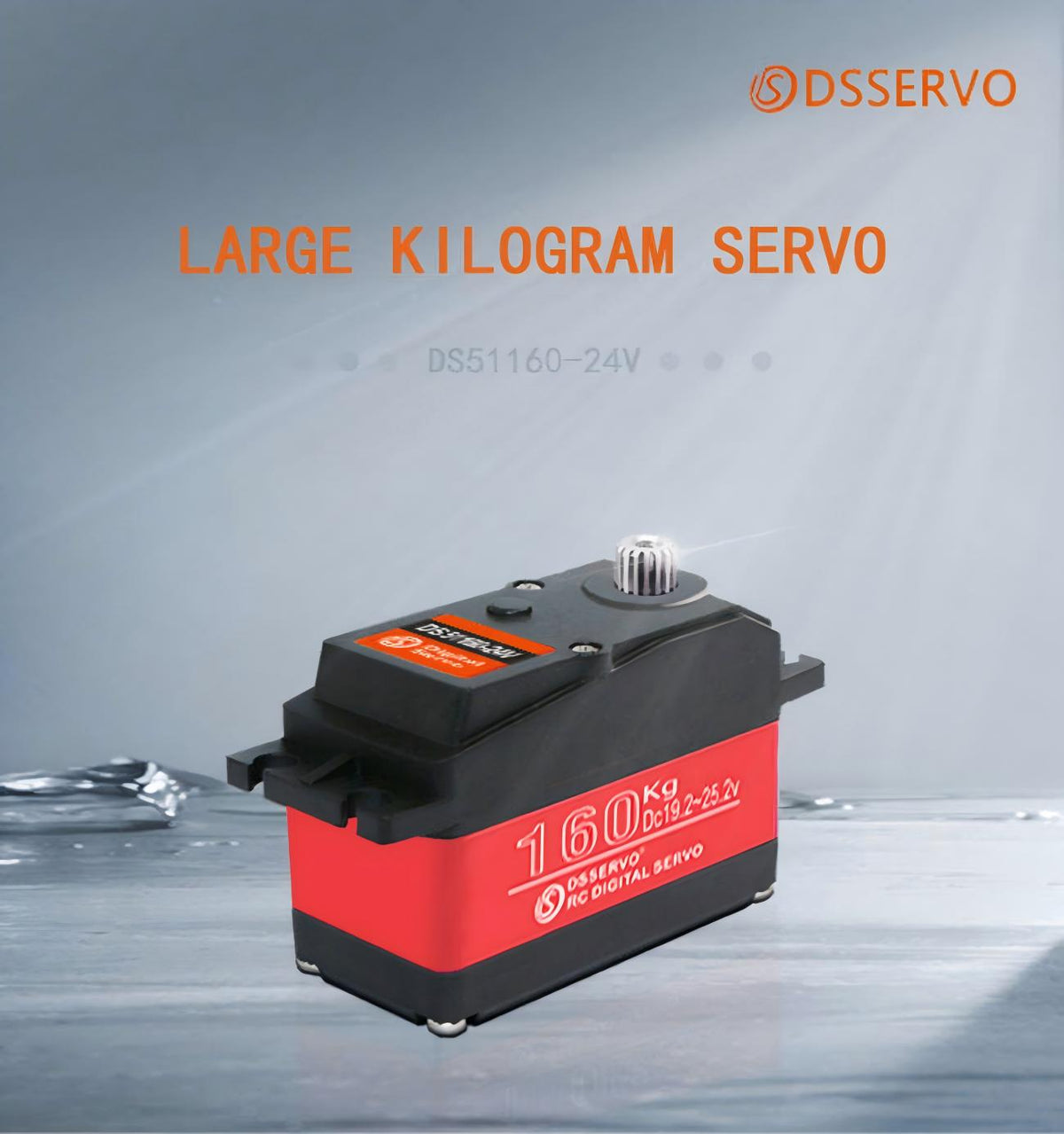 DSSERVO DS51160 Servo Motor detail image 2
