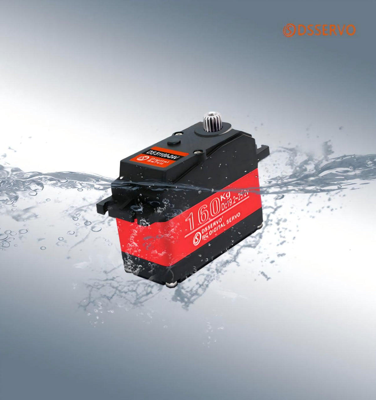 DSSERVO DS51160 Servo Motor detail image 3