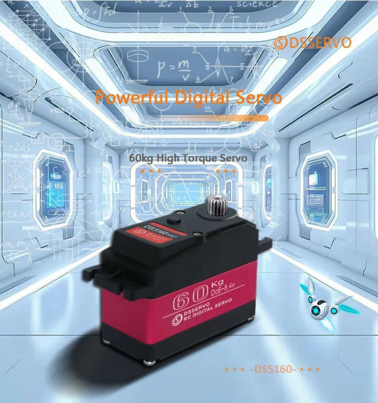 DSSERVO DS5160 SSG Servo Motor detail image 2