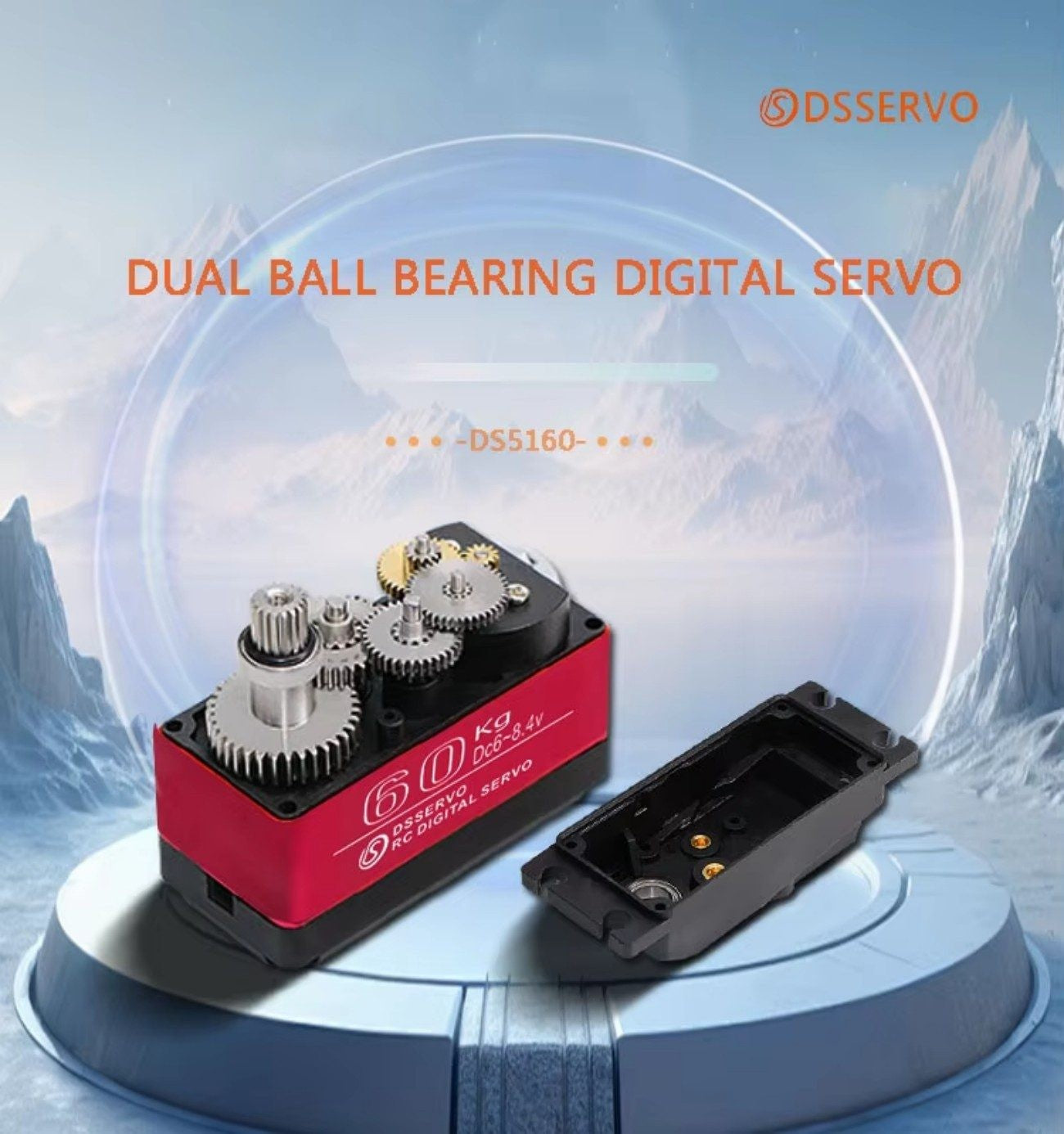 DSSERVO DS5160 SSG Servo Motor detail image 4
