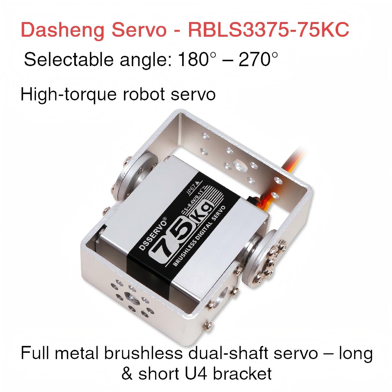 DSSERVO RBLS3375 Servo Motor detail image 1