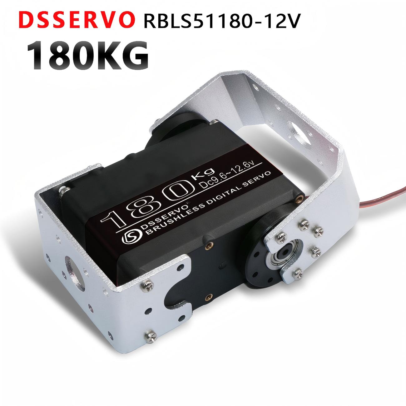 DSSERVO RBLS51180 Servo Motor detail image 1