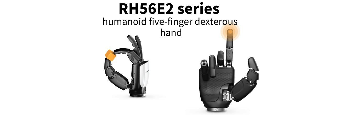 INSPIRE-ROBOTS RH56E2 Robotic Hand detail image 1