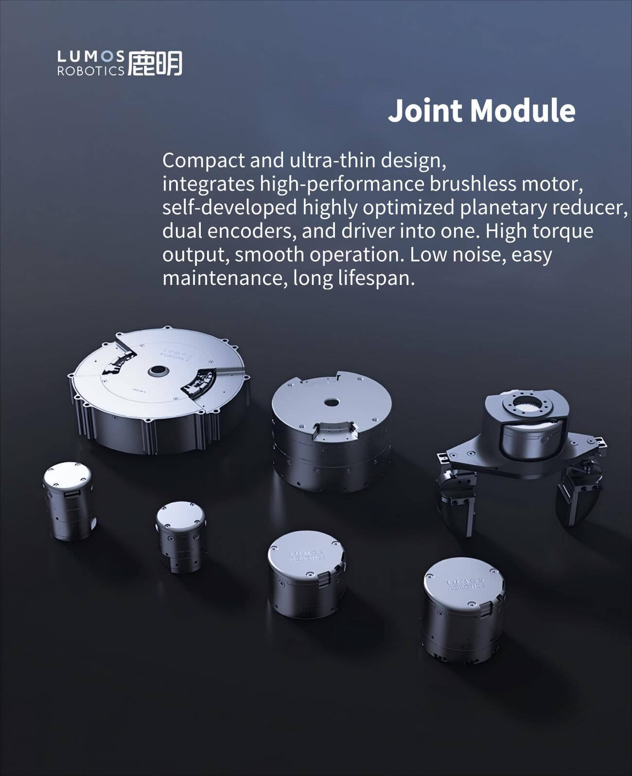LUMOS LUM-P-104-24 Motor detail image 1
