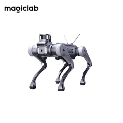 MagicLab MagicDog W Robot