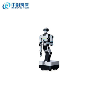 BLINX X1 Humanoid Robot
