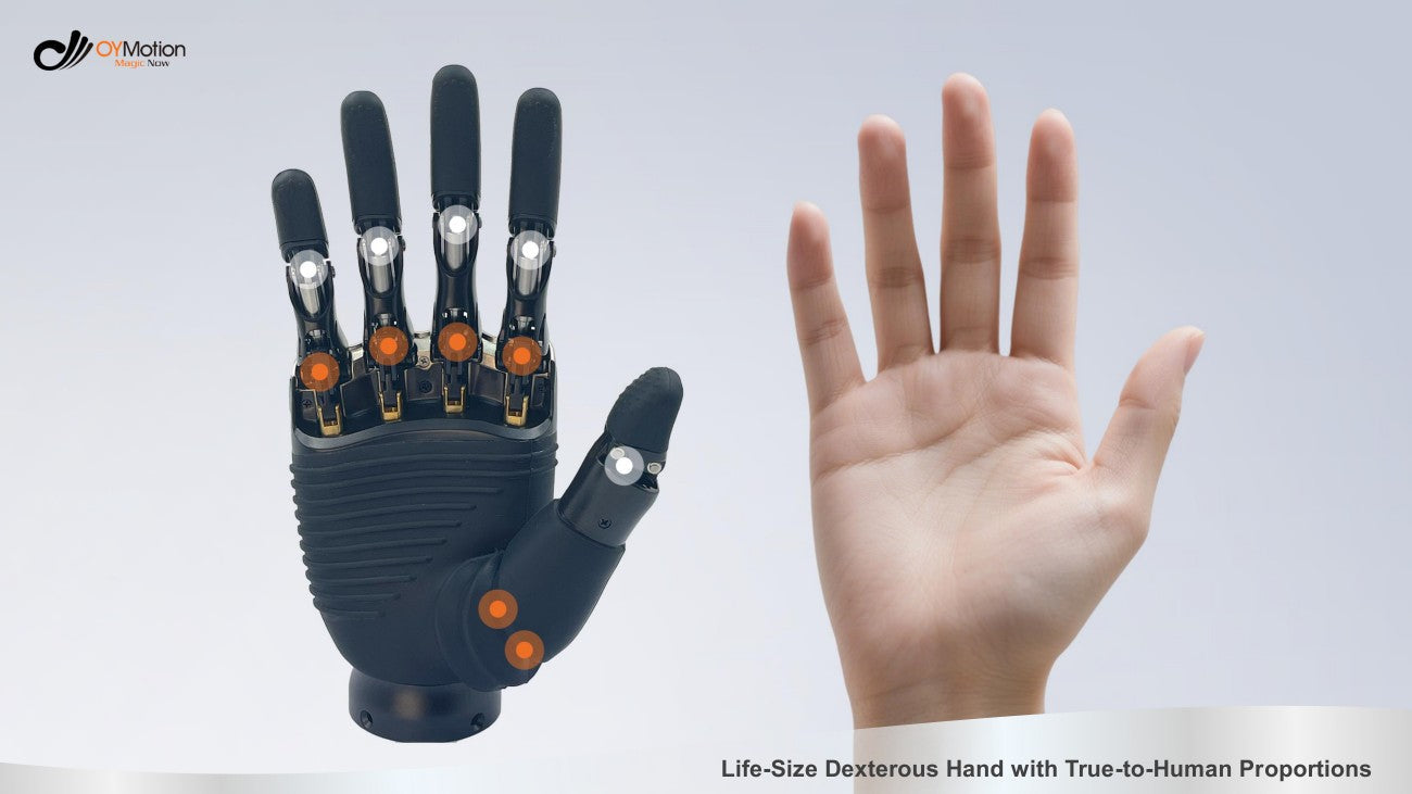 OYMotion ROH-AP001 Dexterous Hand detail image 3