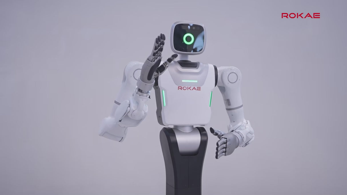 Rokae AR5 Humanoid Force-Controlled Robot Arms for Precision Automation