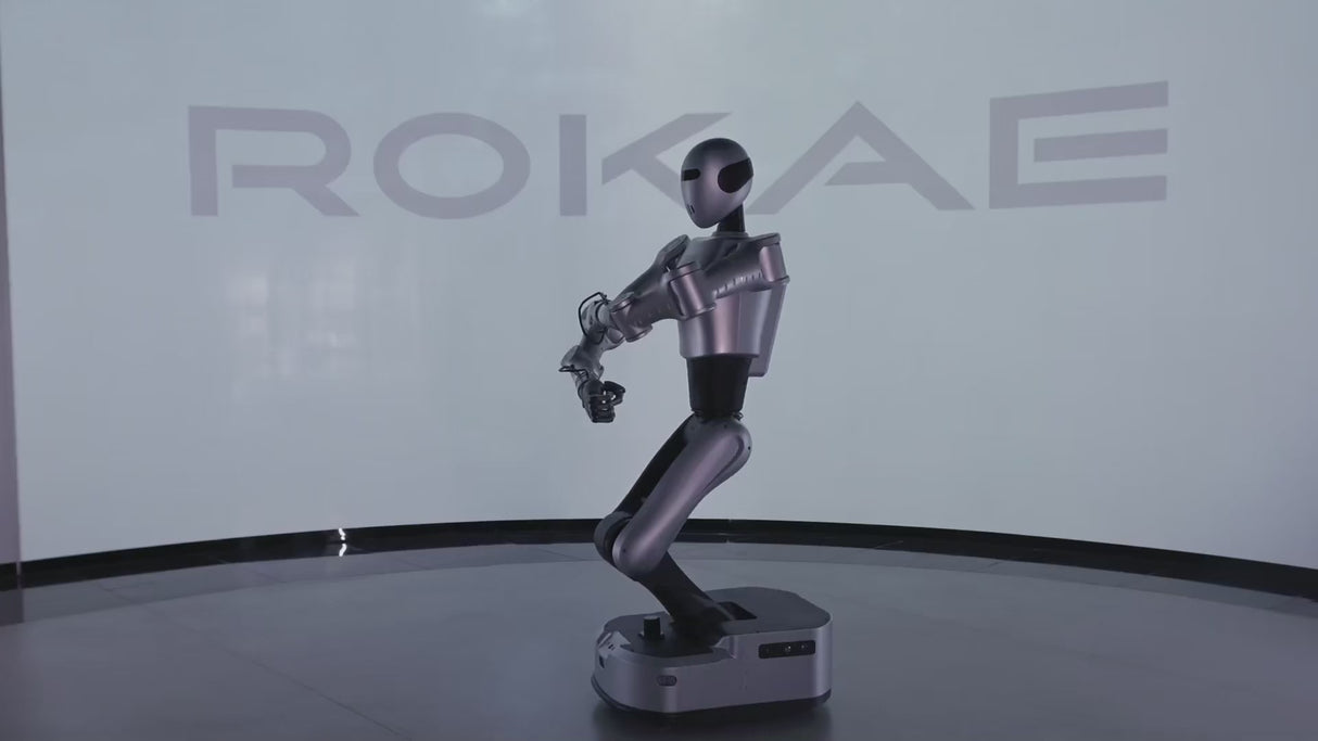 Rokae Helios Wheeled Dual-Arm Robot for Industrial Automation