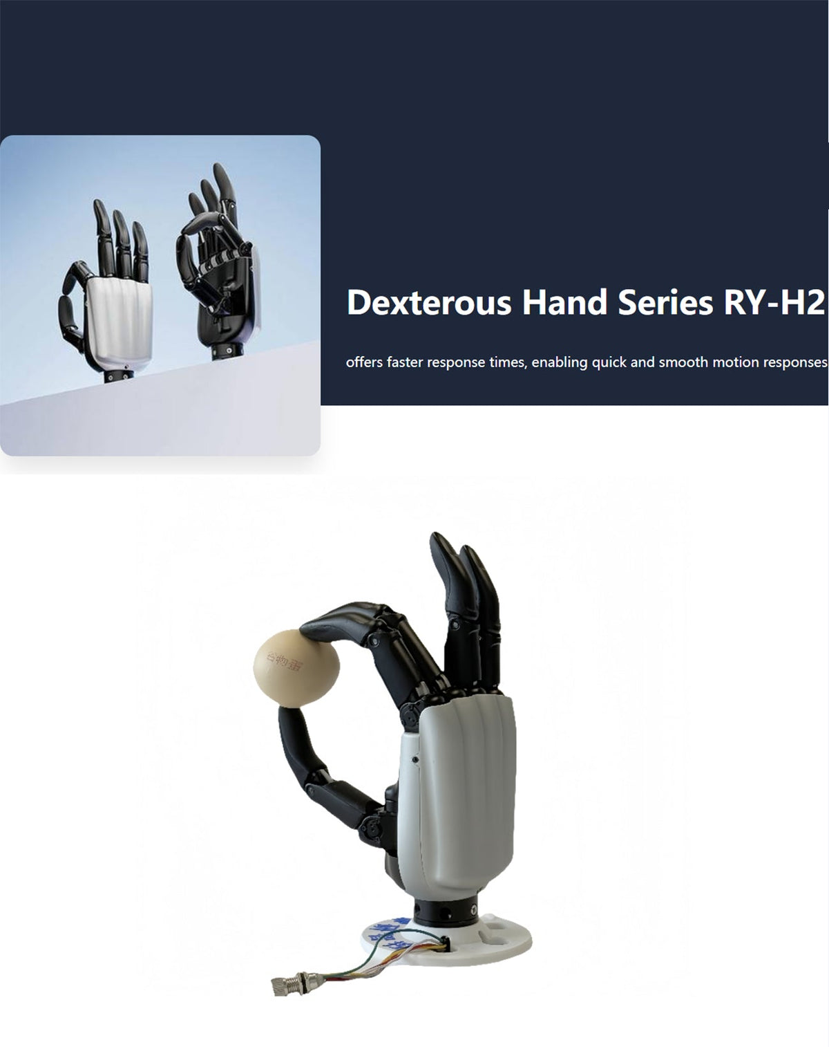 RUIYAN RY-H2 Dexterous Hand detail image 1