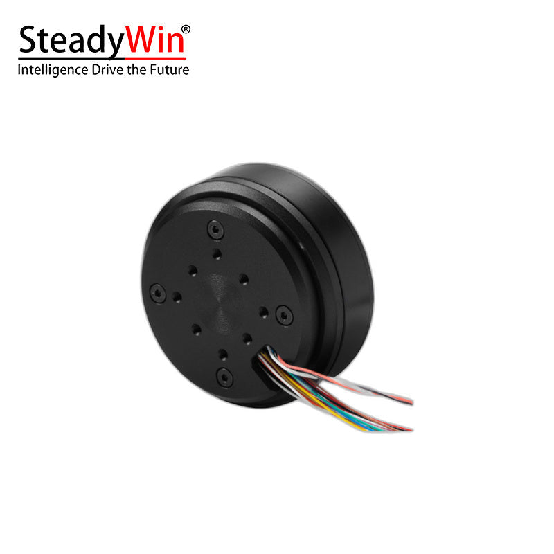 SteadyWin GB6010 Motor product image 4