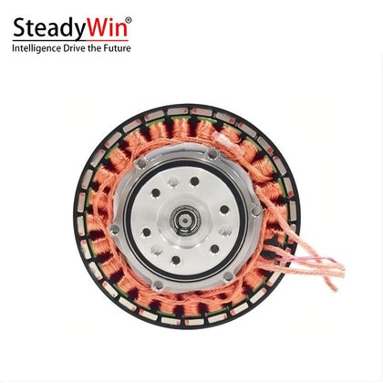 SteadyWin GIM6010-36 Planetary Reducer Motor