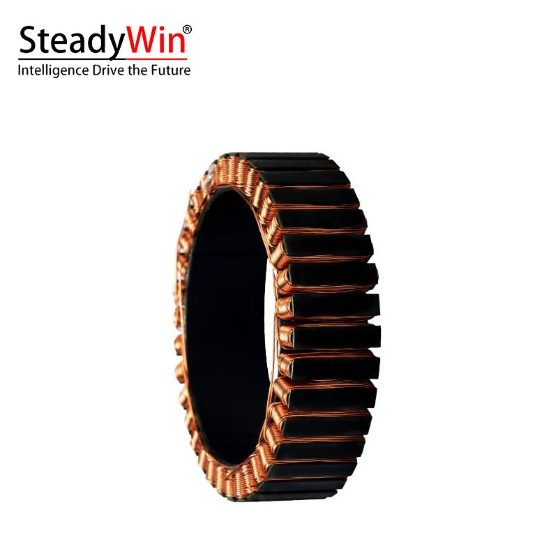 SteadyWin WK10025 Motor product image 4